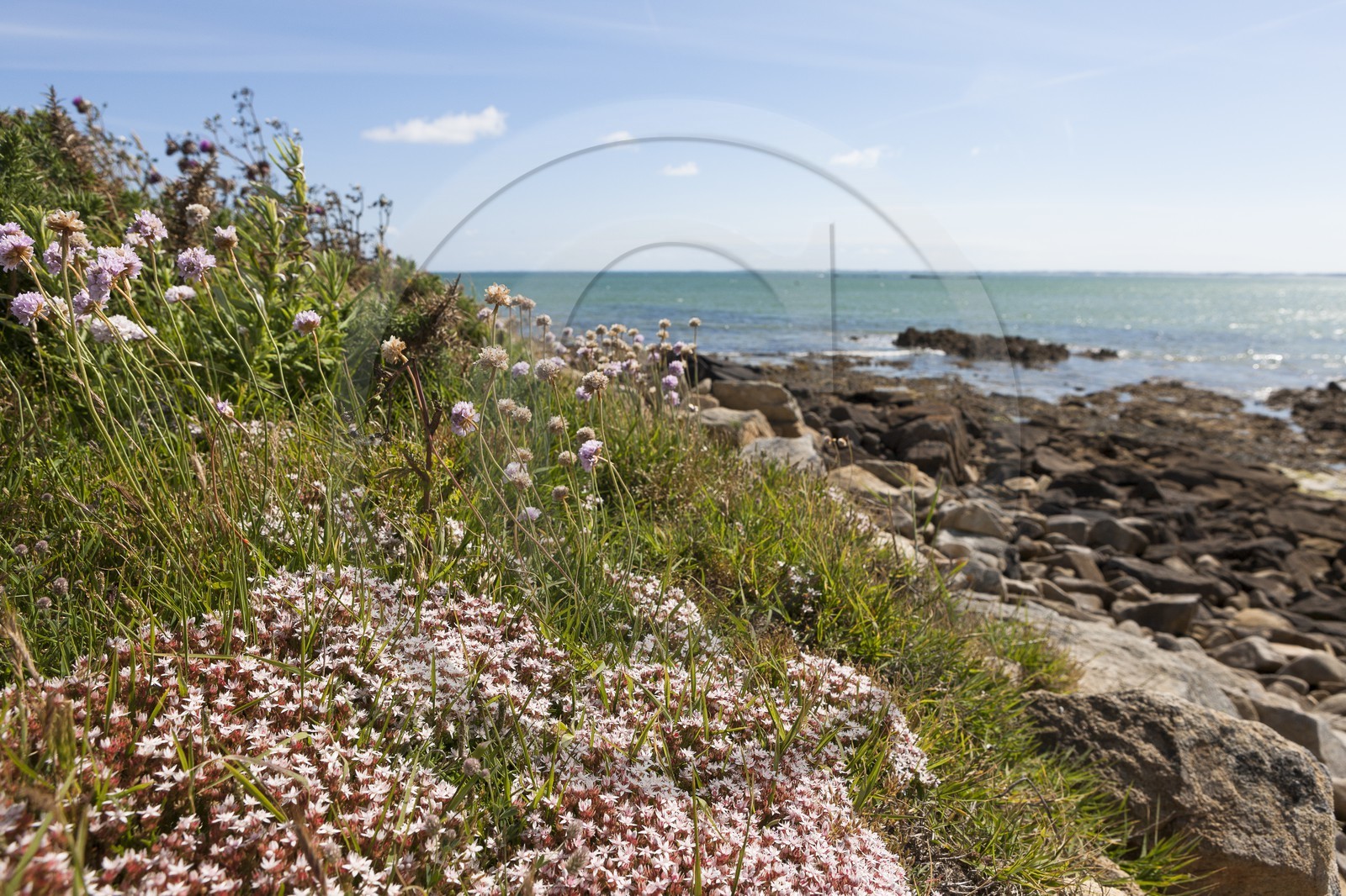 La plage du Men-Du_ La Trinite sur mer