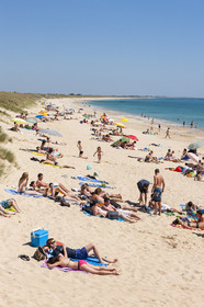 Gavres_Plage de Lines