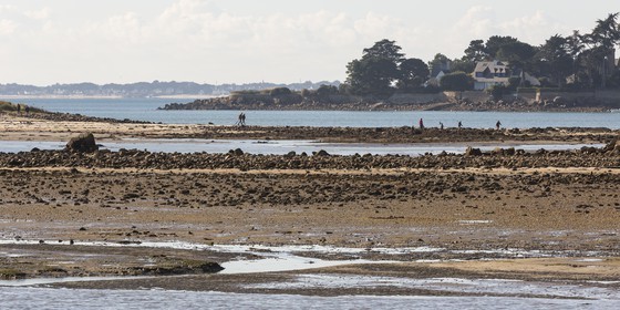 Le Men Du vu depuis la plage du Poulbert _ La Trinite sur Mer