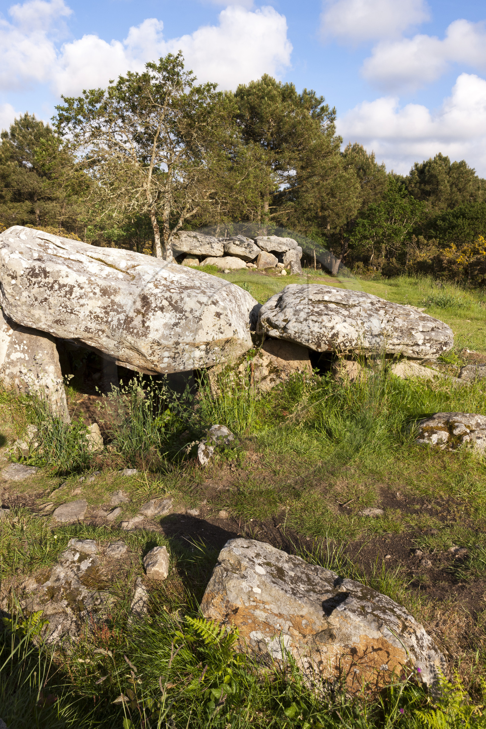Les dolmens de Mané-Bras à Erdeven