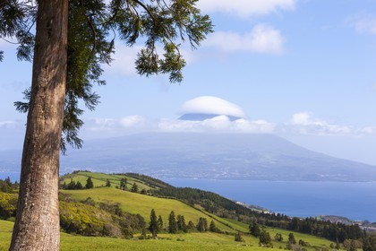 Île de Faial _ Archipel des Açores