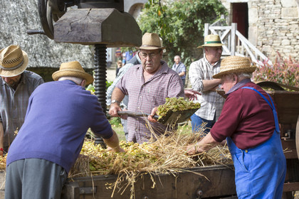 2016_Fête du cidre dans le village de Poul Fétan. Quistinic dans le Morbihan