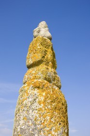 Quenouille Ste Brigitte. Locoal Mendon_Morbihan