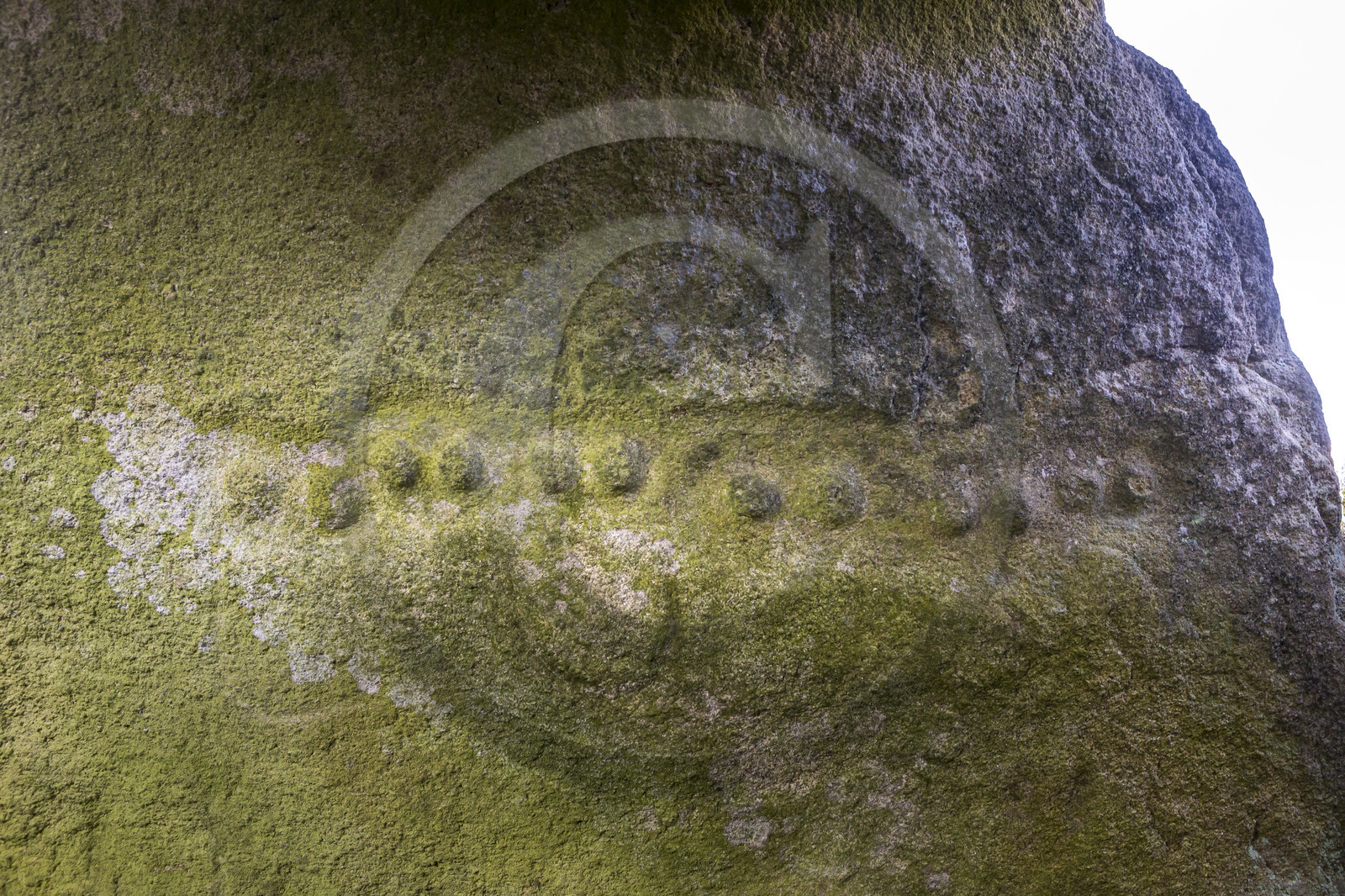 L'allée couverte de Kerguntuil à Trégastel.