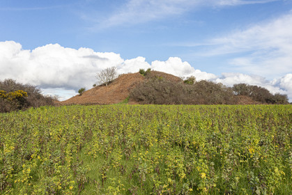 Tumulus de Tumiac à Arzon