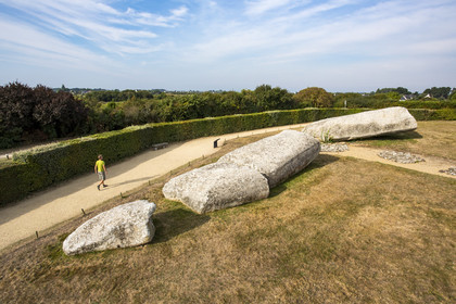 Le Grand menhir brisé d'Er Grah à Locmariaquer