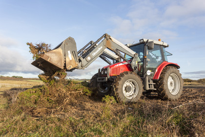 Dune grise _ Le Loch à Guidel