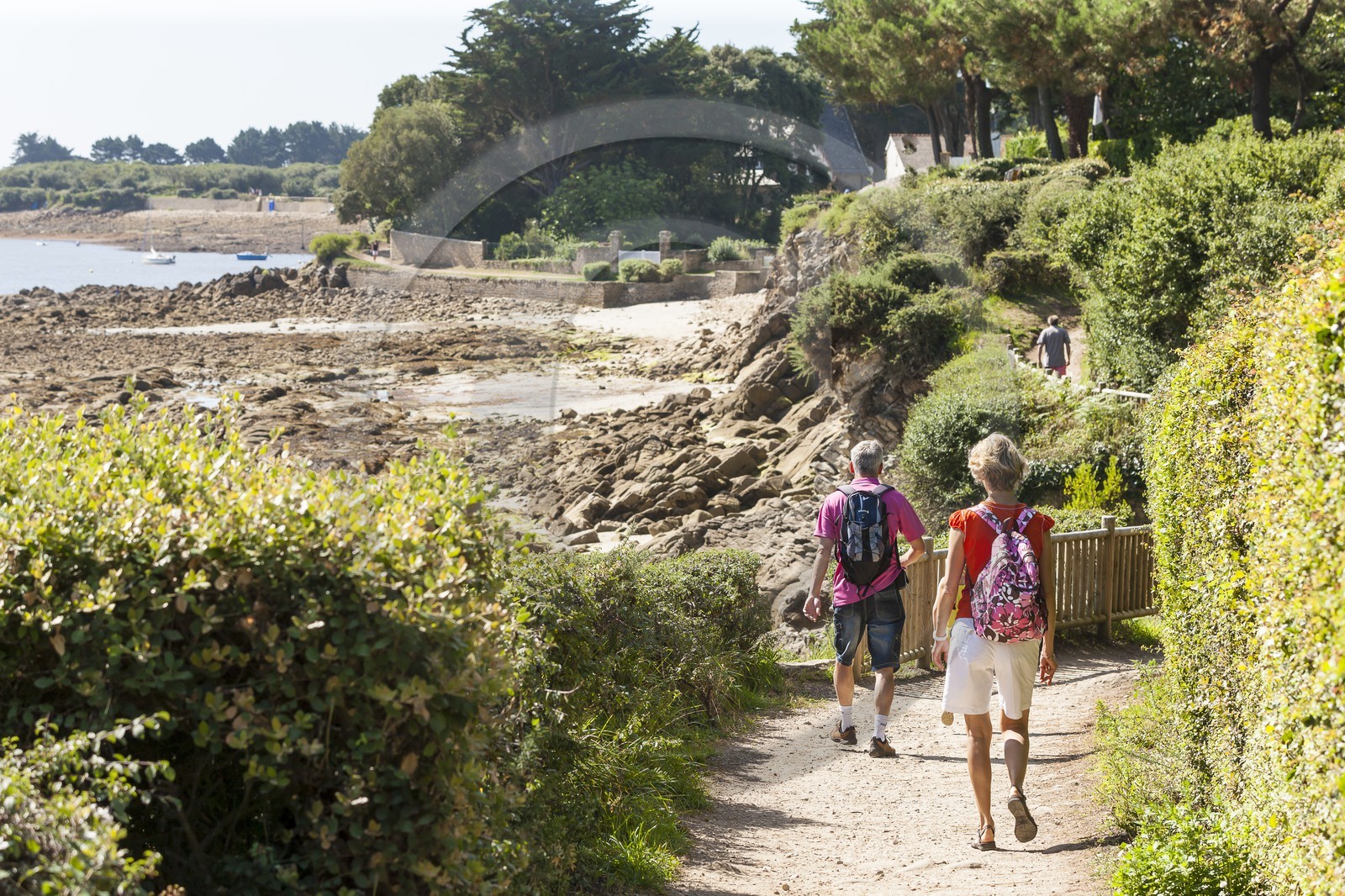 Sentiers des douaniers _ La Trinite sur Mer