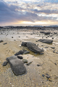 Alignements de Kerdual _ la Trinité sur Mer