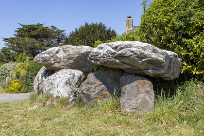 Le dolmen de Lannek-er-Men à Sarzeau