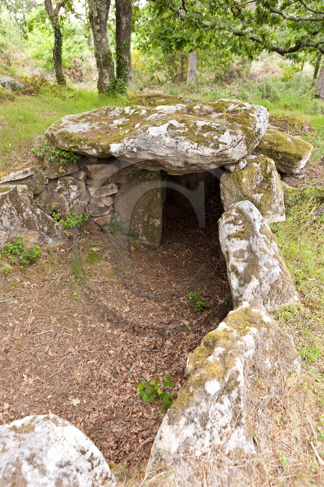 Le dolmen de Mane Bras _ la Trinite sur mer.
