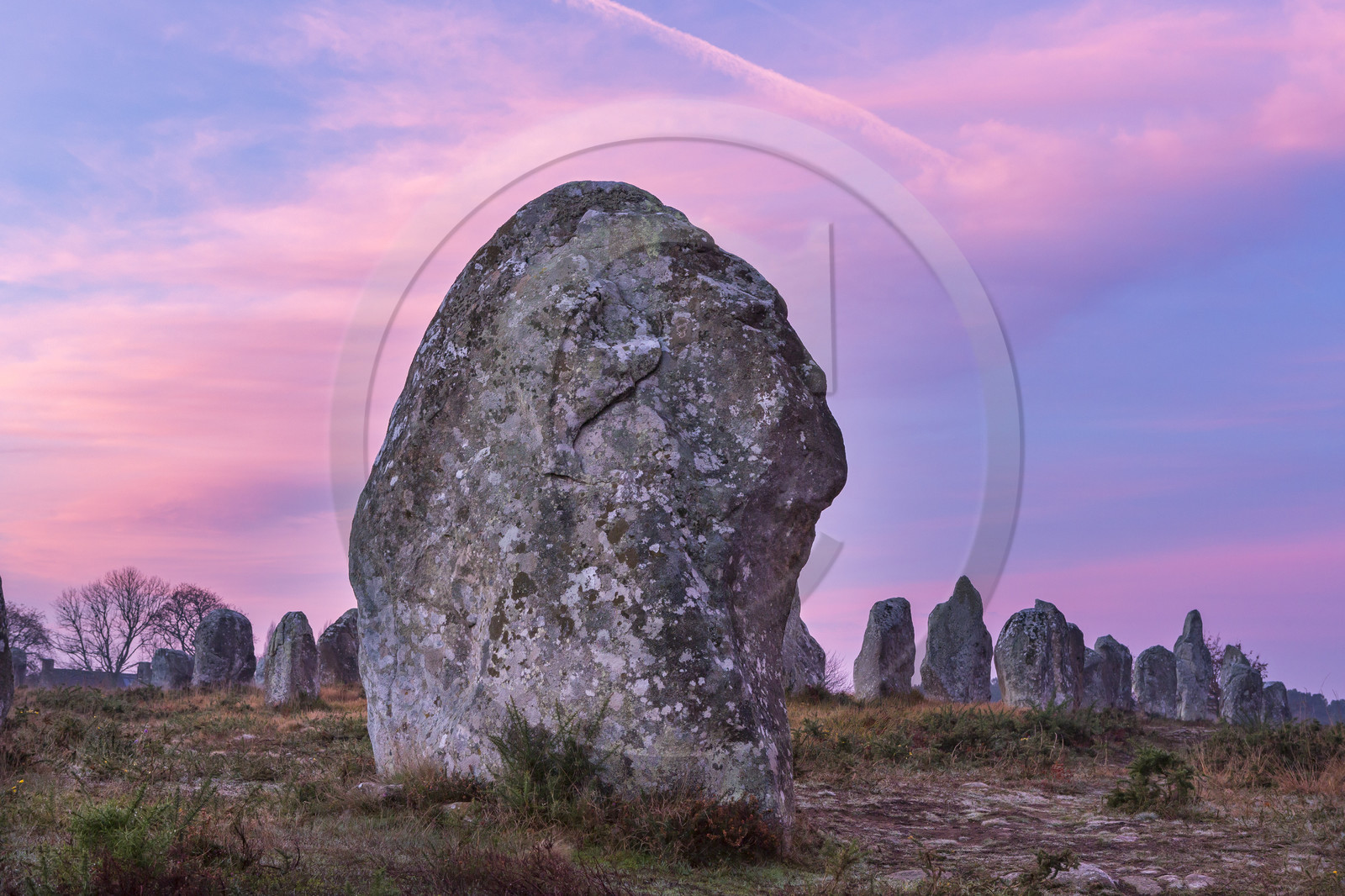 Alignements de Kerlescan à Carnac