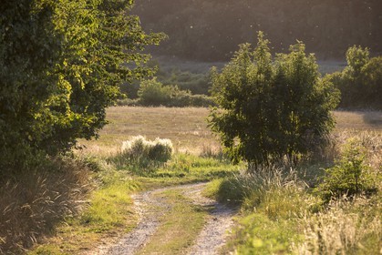 Allée O' Murphy à Créhen