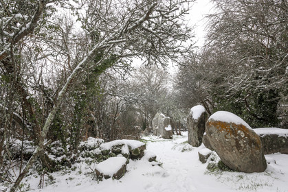 Alignements de Kerzerho _ Erdeven