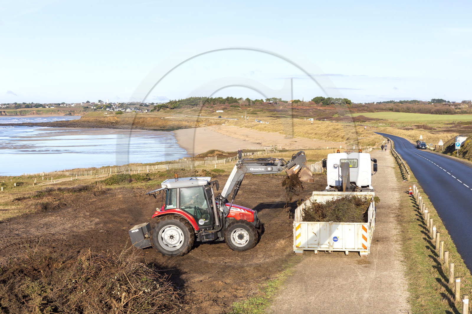 Dune grise _ Le Loch à Guidel