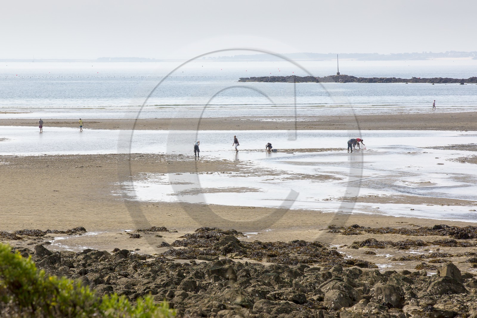 Peche a pied _ plage du men du