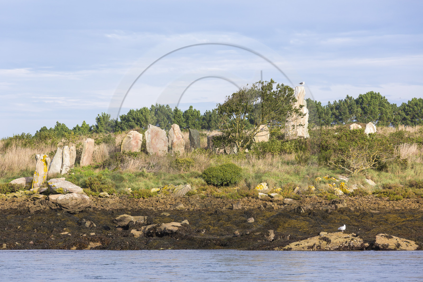 Er Lannic dans le golfe du Morbihan à Arzon
