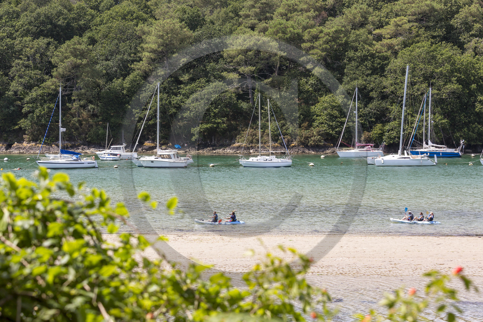 Balade au bord de la rivière Laïta _ Guidel