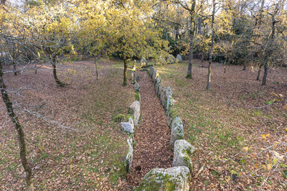 Allée couverte de Luffang Tal-er-Roch à Crach.