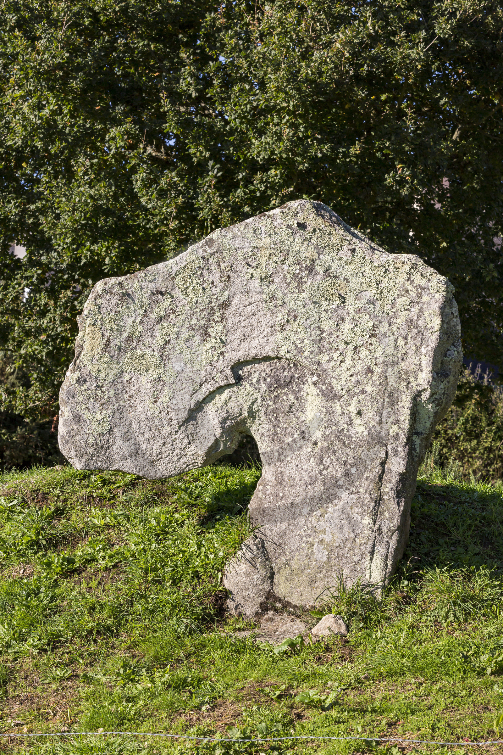 Site mégalithique de Kergonan _ Ile aux moines