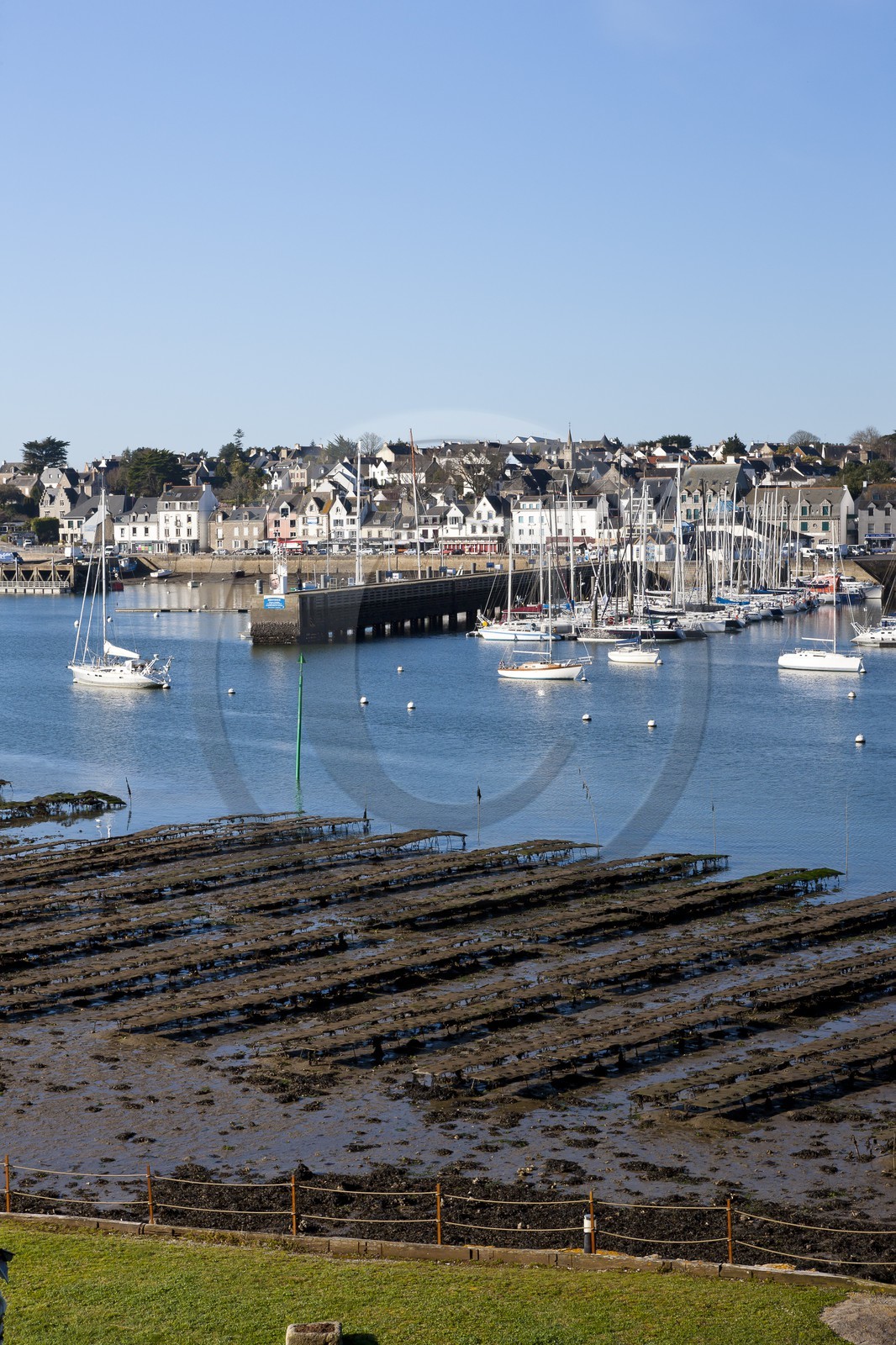 Le port de la Trinite sur Mer