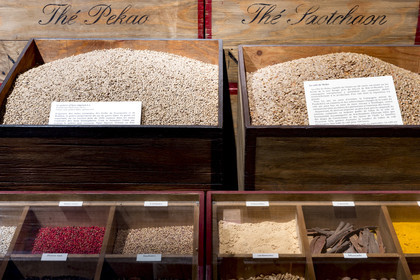 Musée de la compagnie des Indes _ Port-Louis