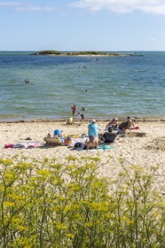La plage du Men-du _ La Trinite sur mer