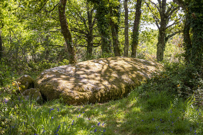 Dolmen de Men Hiaul (Kerblay) à Sarzeau