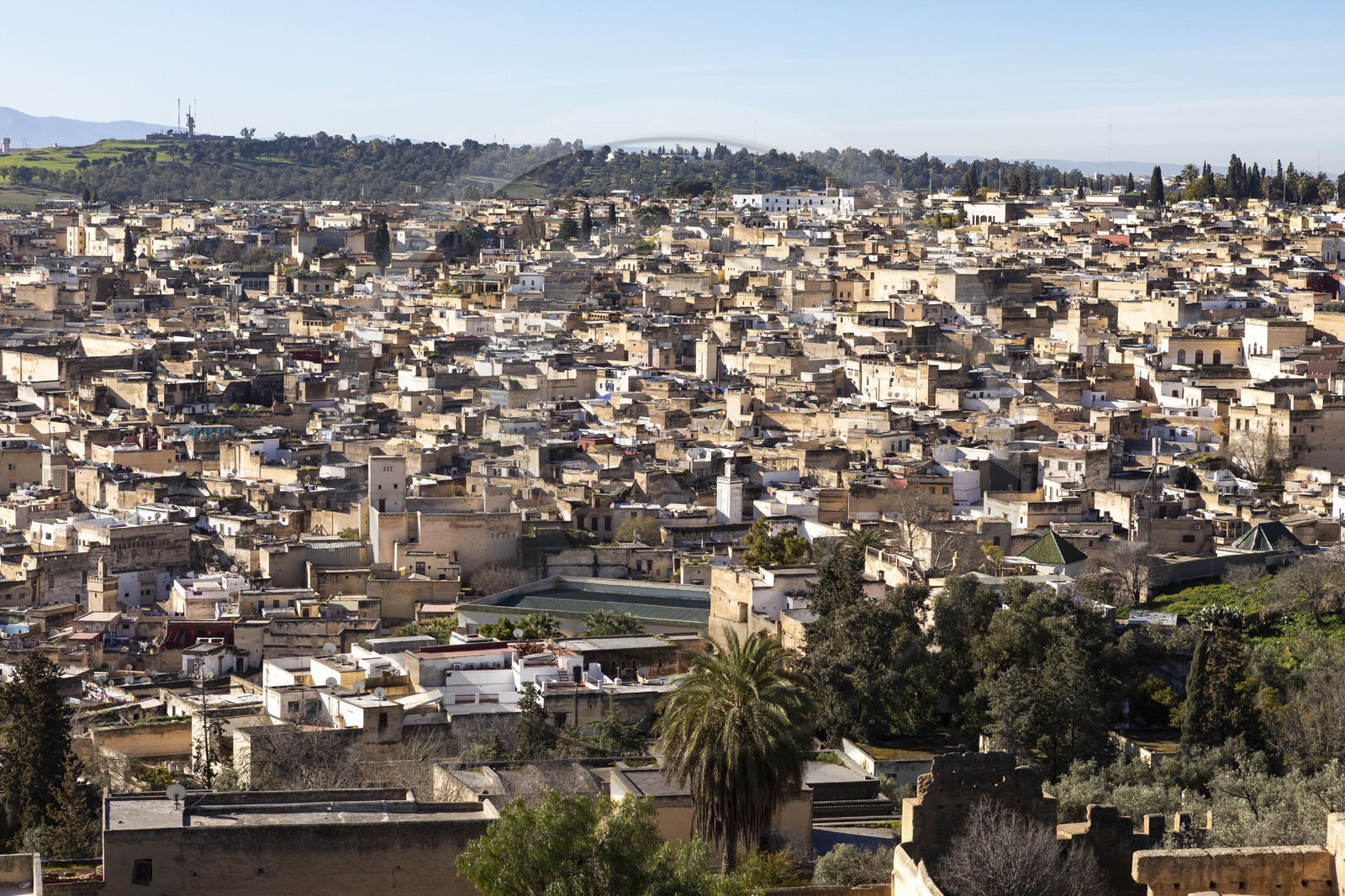Vue sur la Médina de Fès au Maroc