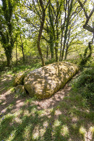 Dolmen de Men Hiaul (Kerblay) à Sarzeau