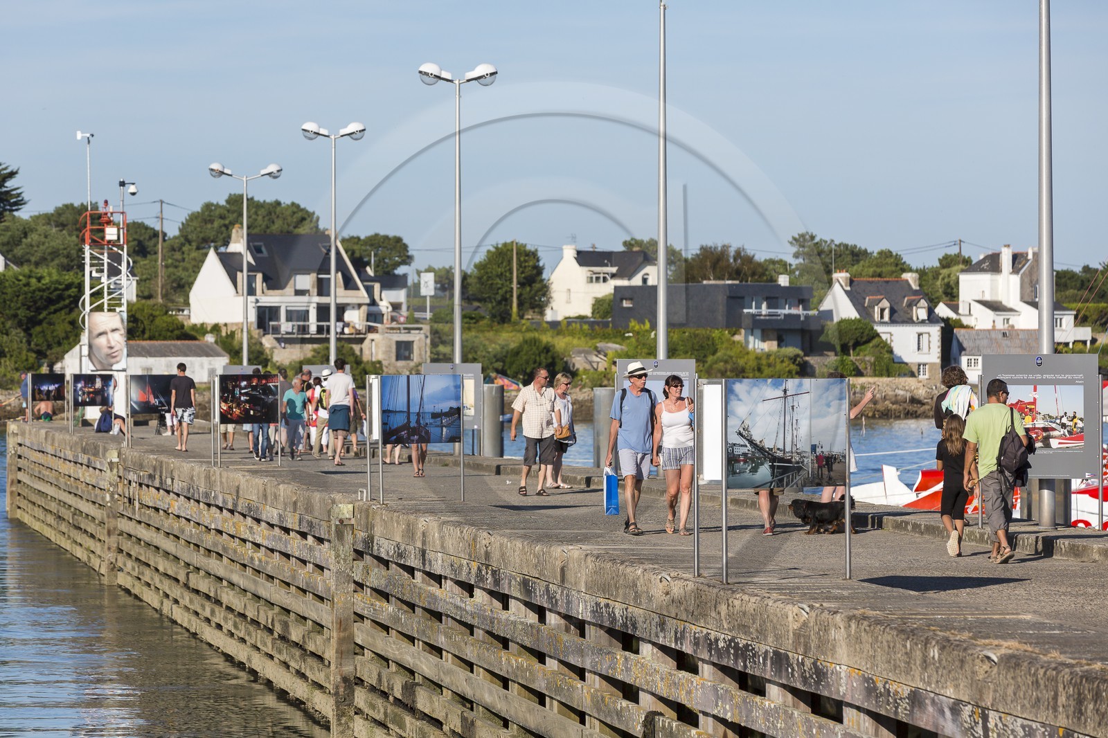 Le mole Loic Caradec