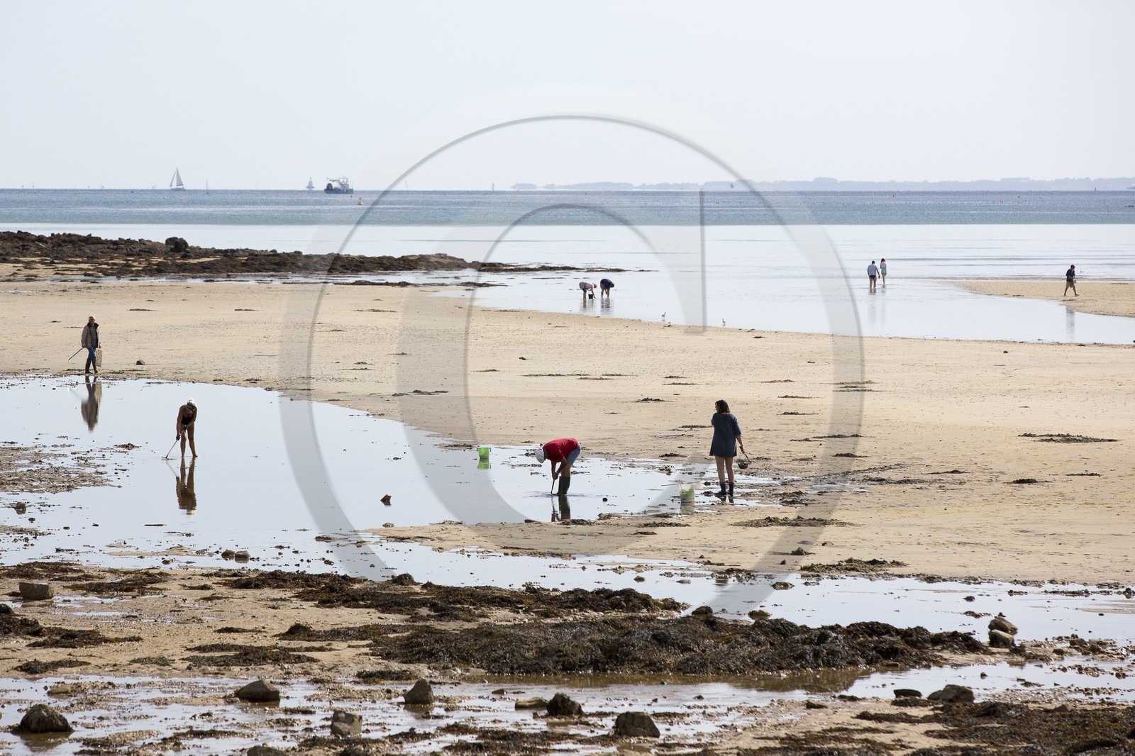 Peche a pied _ plage du men du