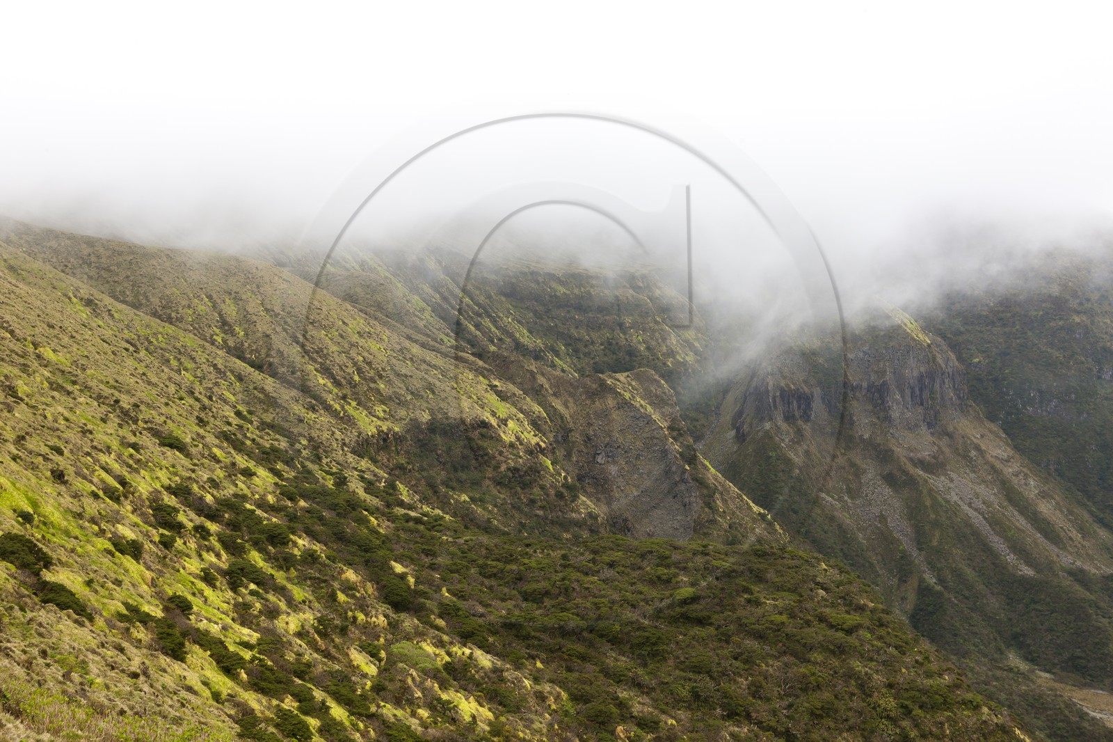 Caldeira de Faial _ les Açores