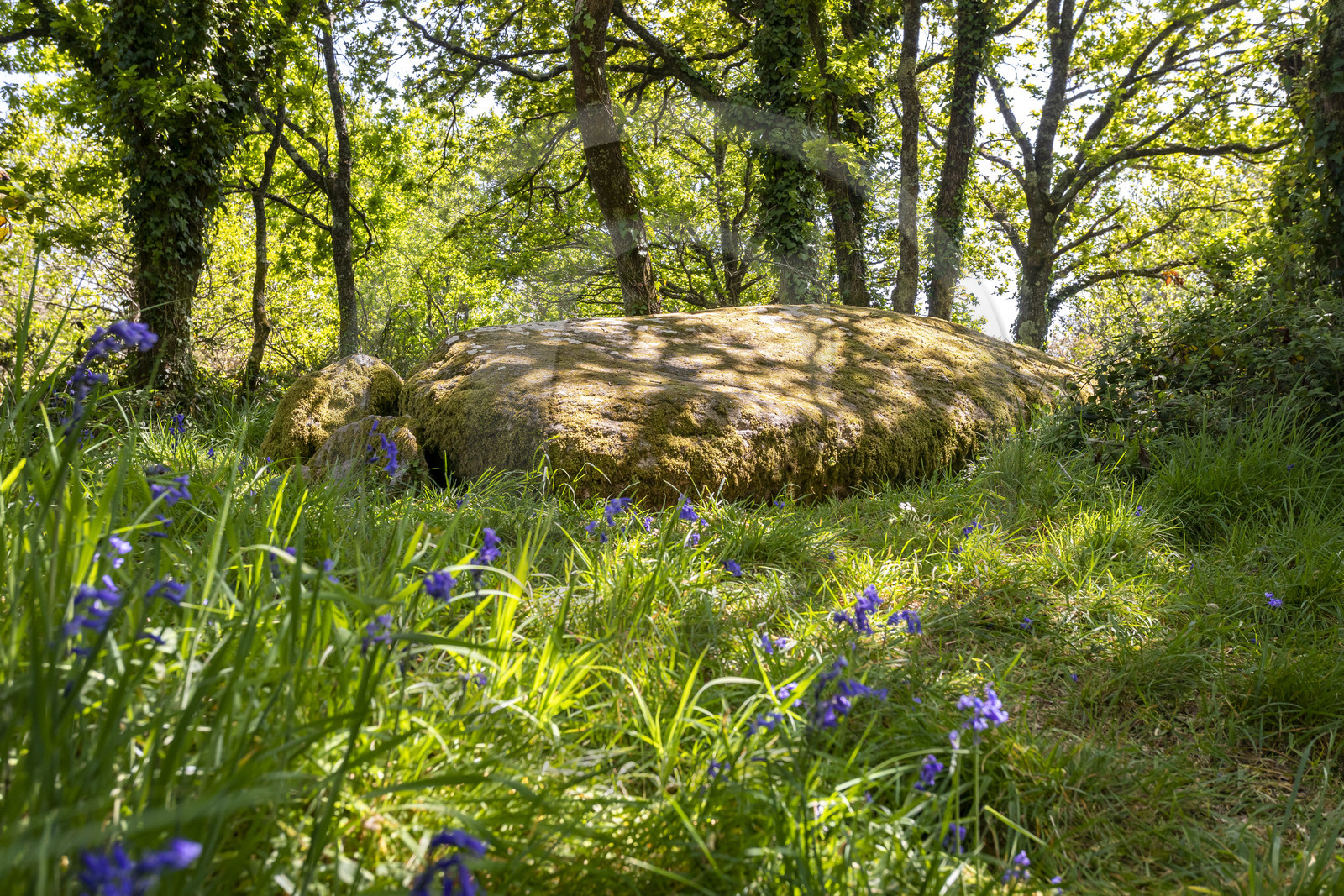 Dolmen de Men Hiaul (Kerblay) à Sarzeau