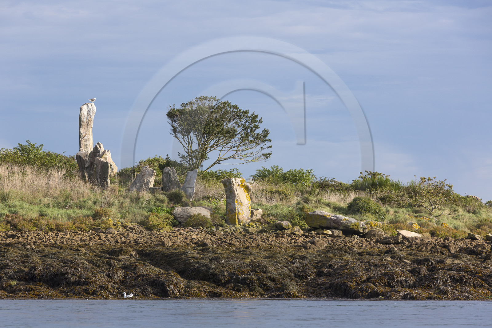 Er Lannic dans le golfe du Morbihan à Arzon