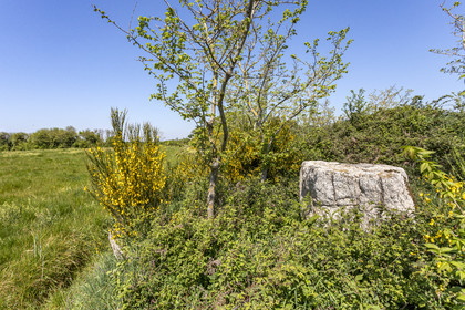 Menhir de Kerbigot à Sarzeau