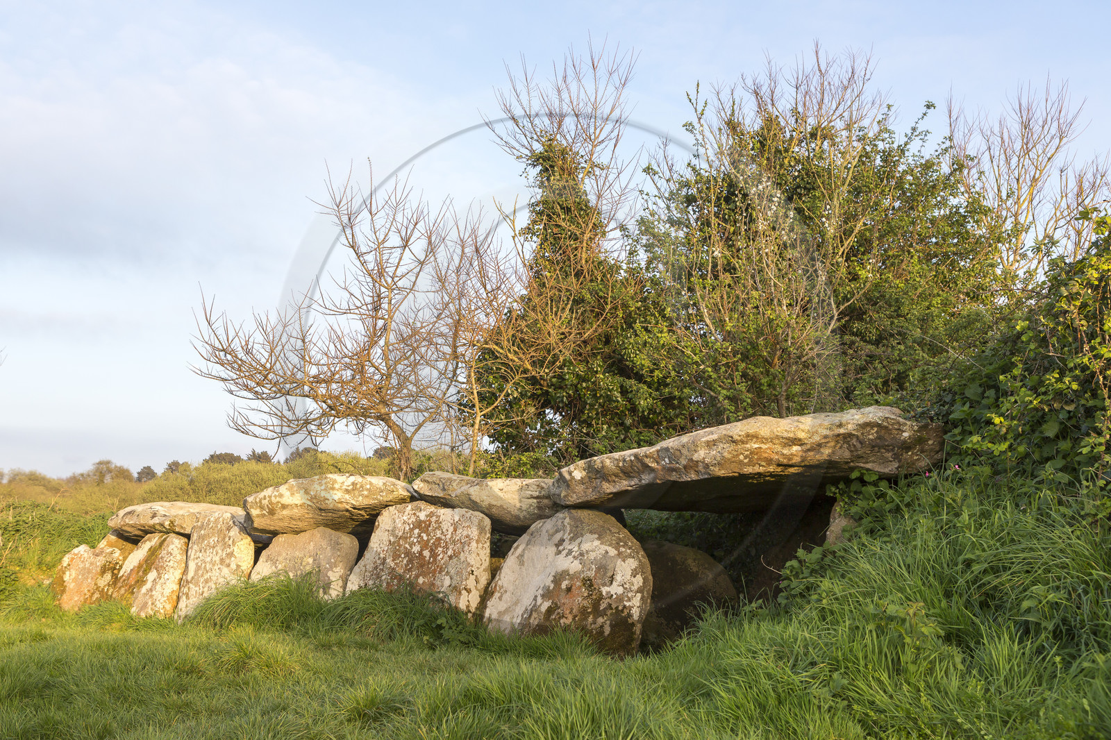 L'allée couverte de Kerguntuil à Trégastel.