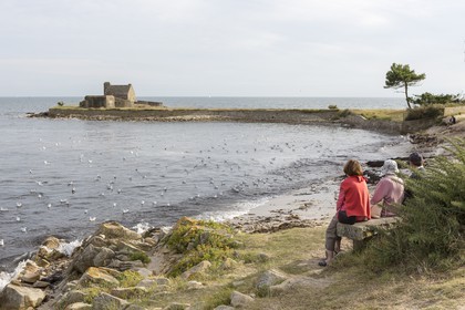 La pointe de Kerbihan _ La Trinité sur Mer
