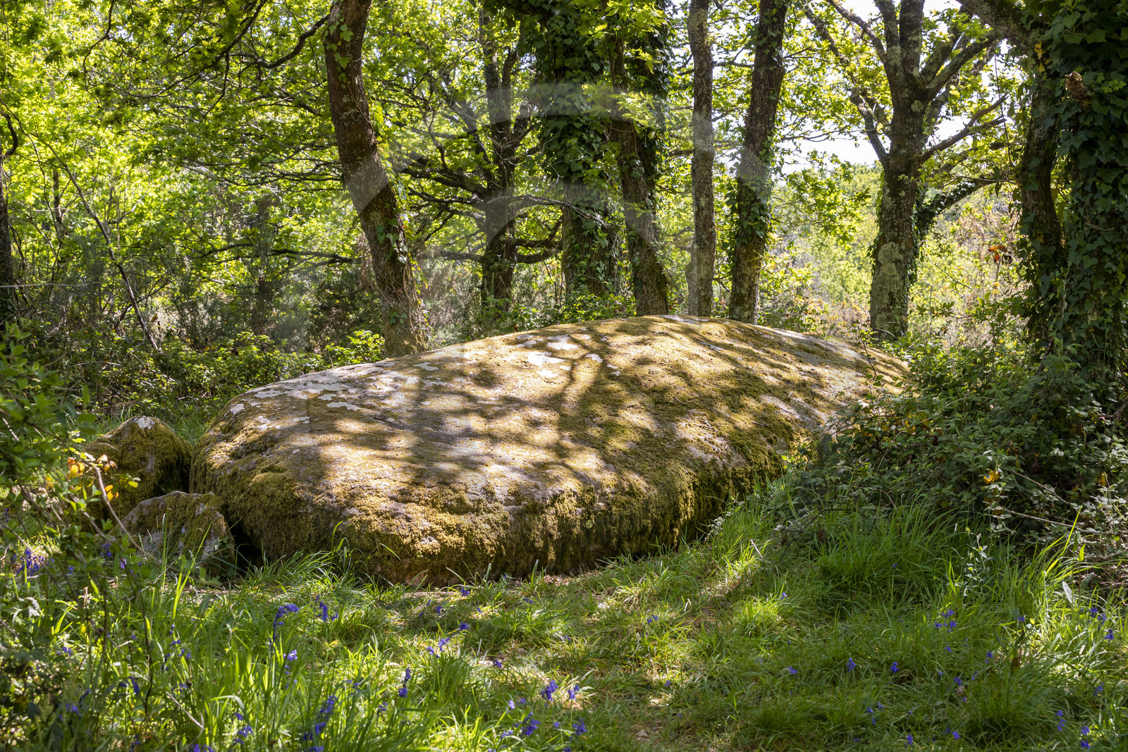 Dolmen de Men Hiaul (Kerblay) à Sarzeau