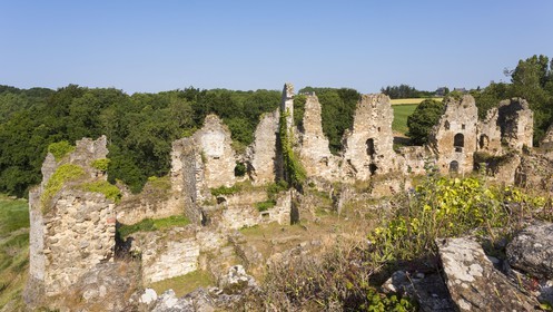Le château du Guildo