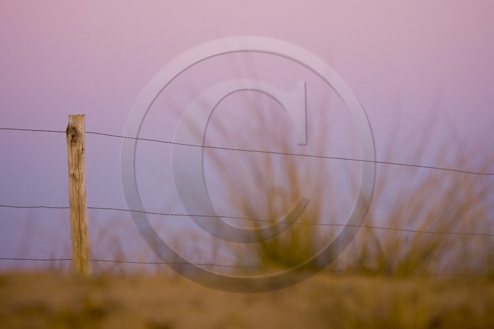 Massif dunaire Gavres-Quiberon_Erdeven.