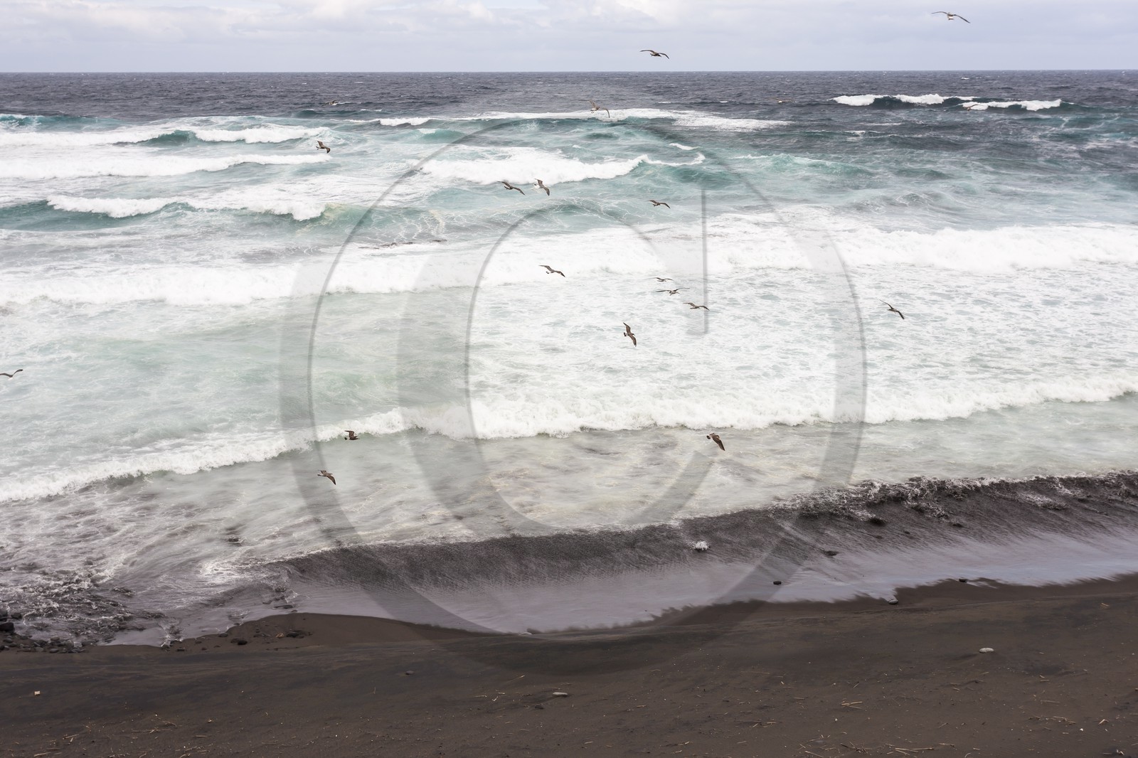 Paysage côtier _Ile de Sao Miguel _Archipel des Açores.