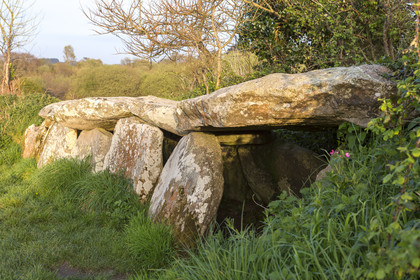 L'allée couverte de Kerguntuil à Trégastel.
