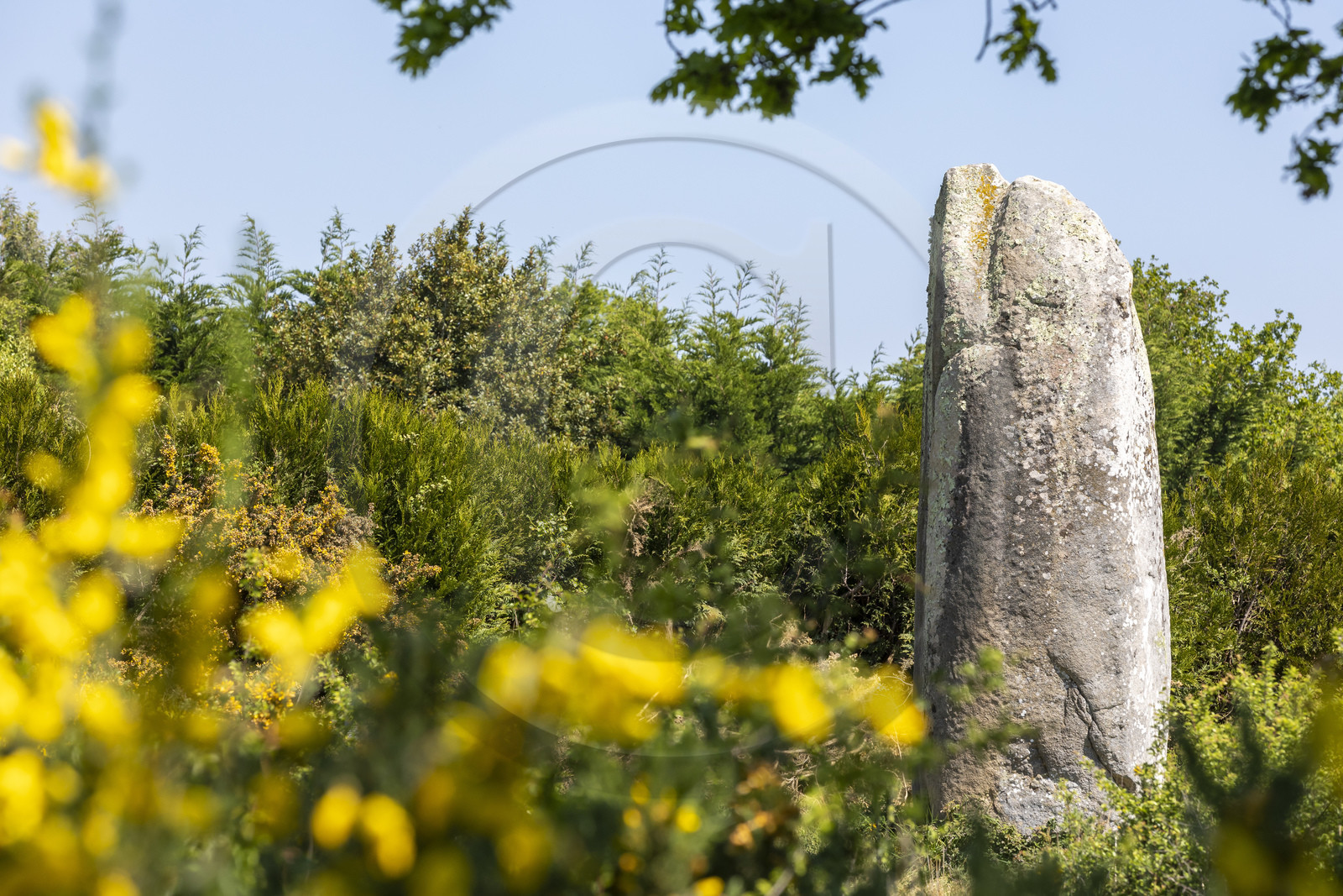 Le menhir de Kermaillard à Sarzeau