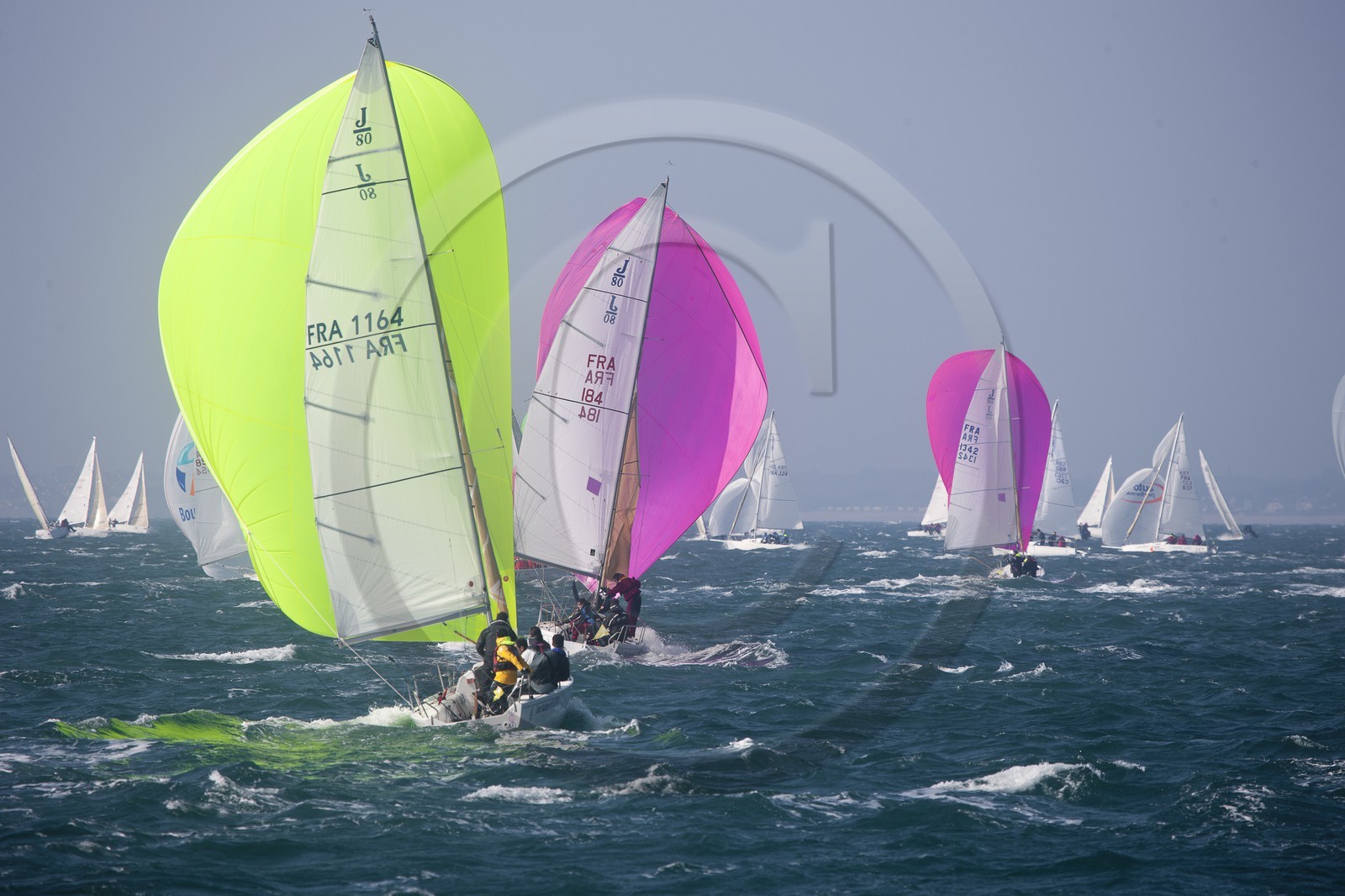 Spi Ouest-France _ La Trinite-sur-Mer