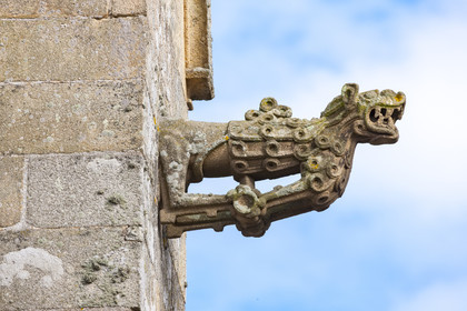 Gargouilles de la basilique Notre-dame du Paradis à Hennebont