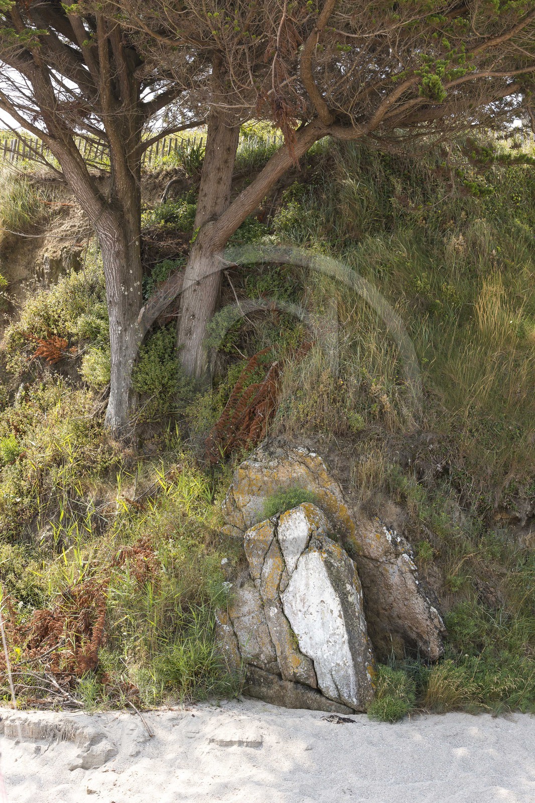 Le Saint Awawa sur la plage du Rougeret à Saint-Jacut de la Mer ( 22 ).