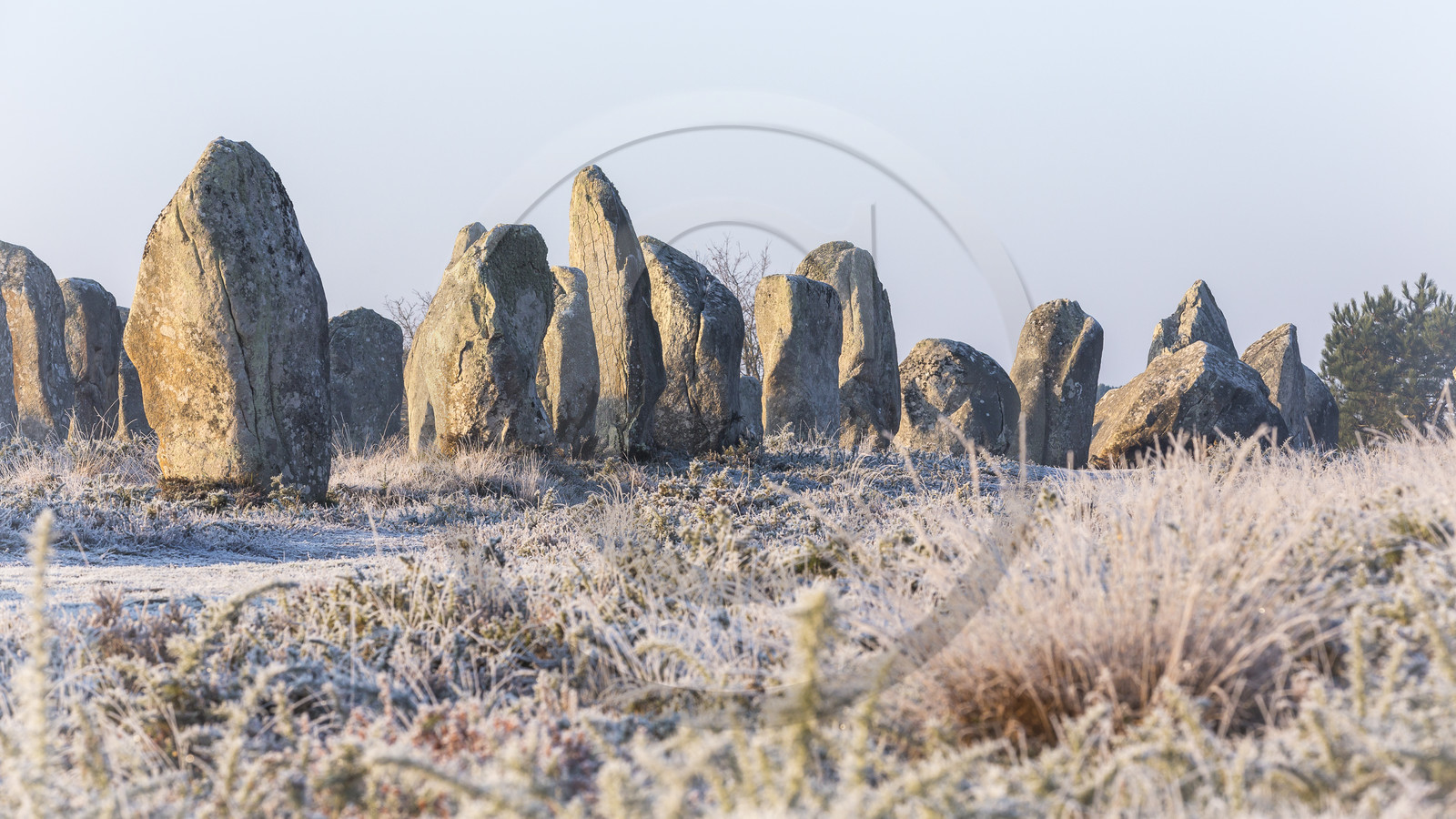 Alignements de Kerlescan à Carnac