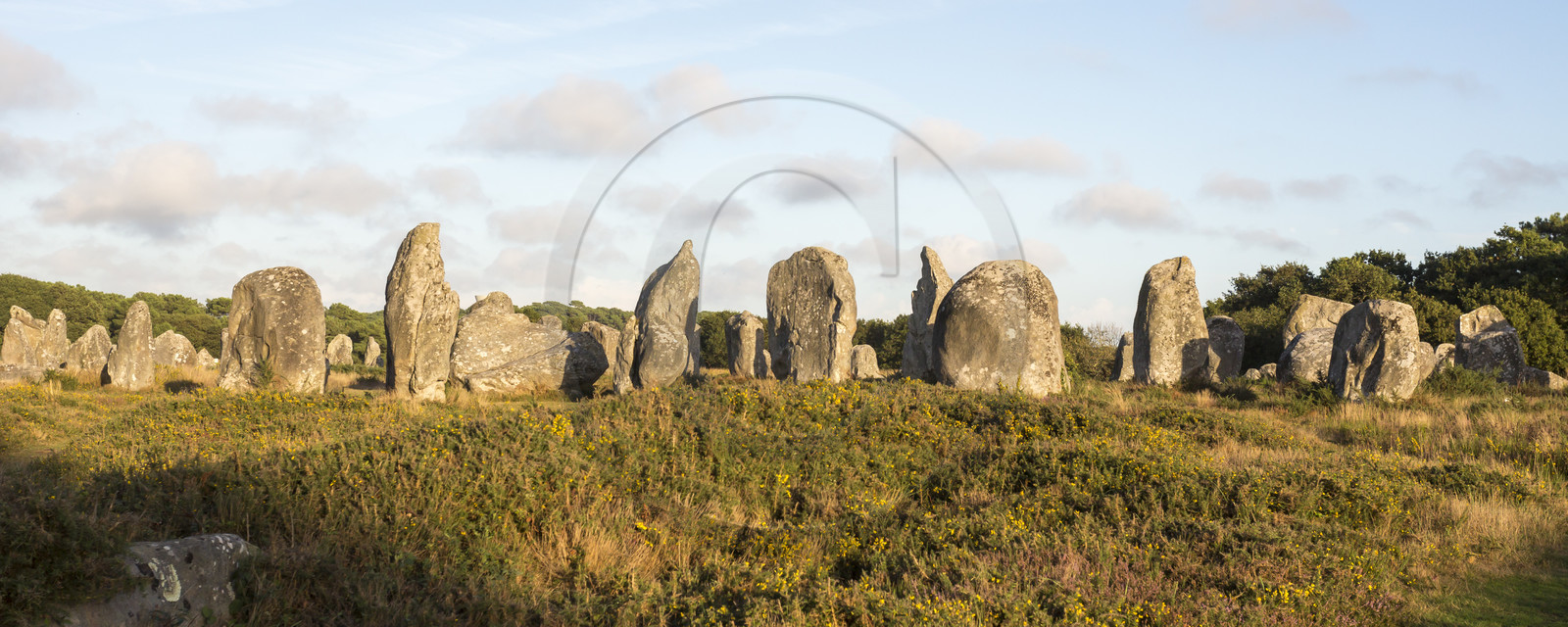 Les alignements de Kermario _ Carnac