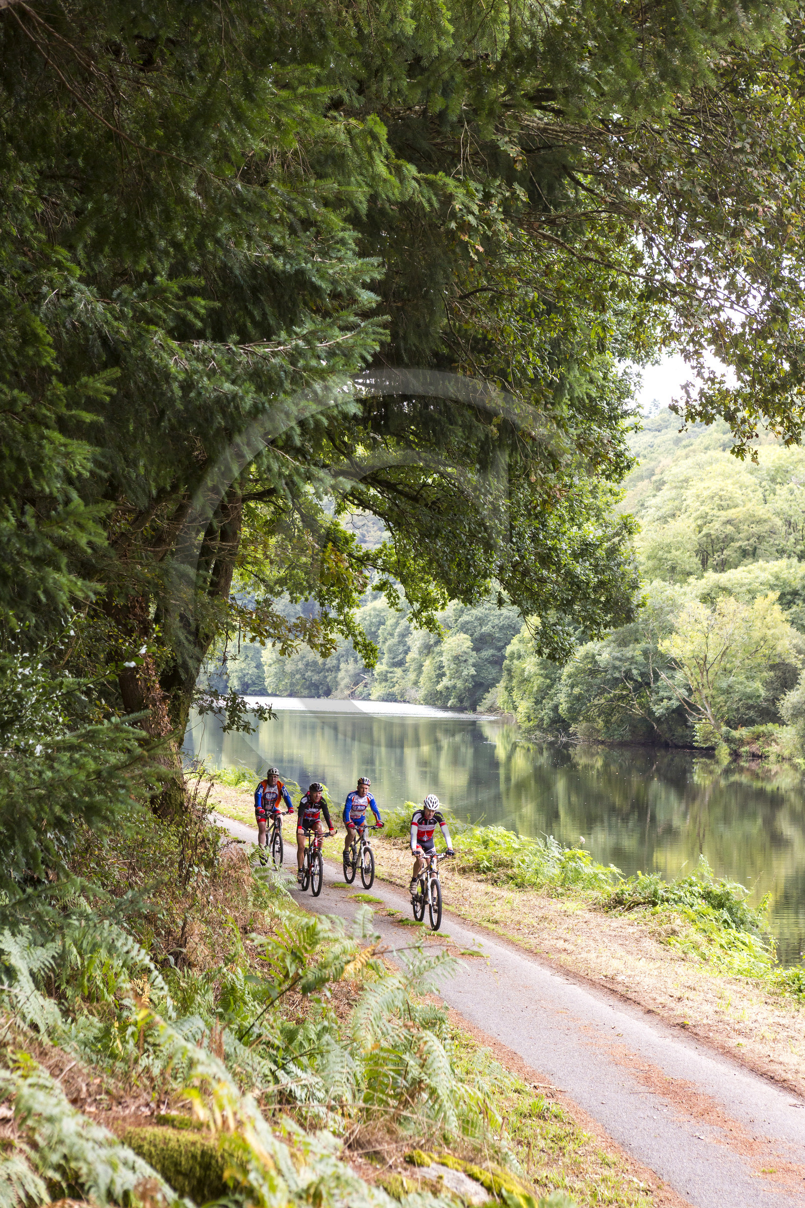 Sortie VTT le long du Blavet à Languidic